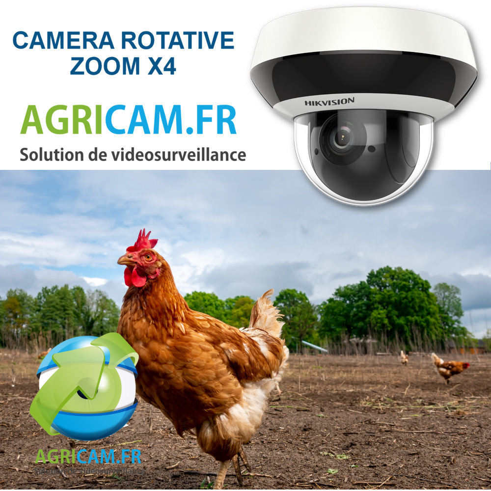 camera surveillance aviaire