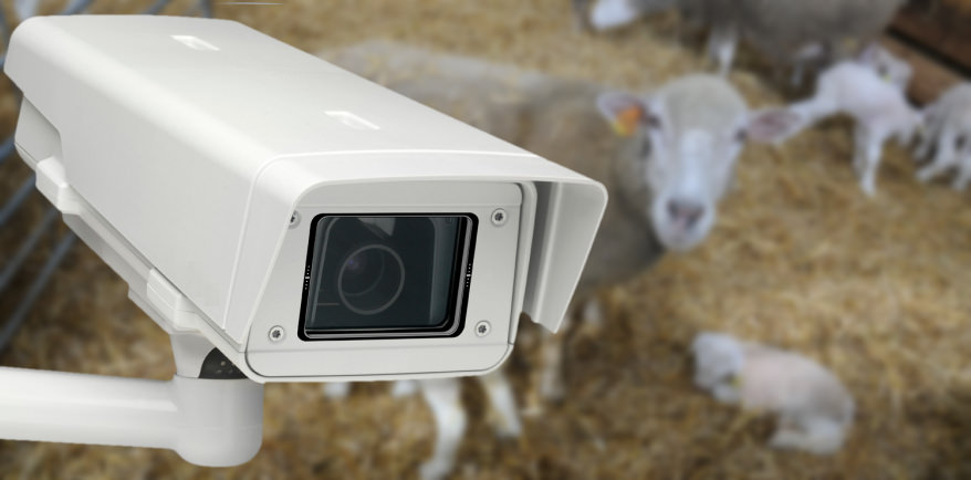 camera fixe sous boitier